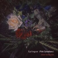 Epilogue (Pink Carnations)